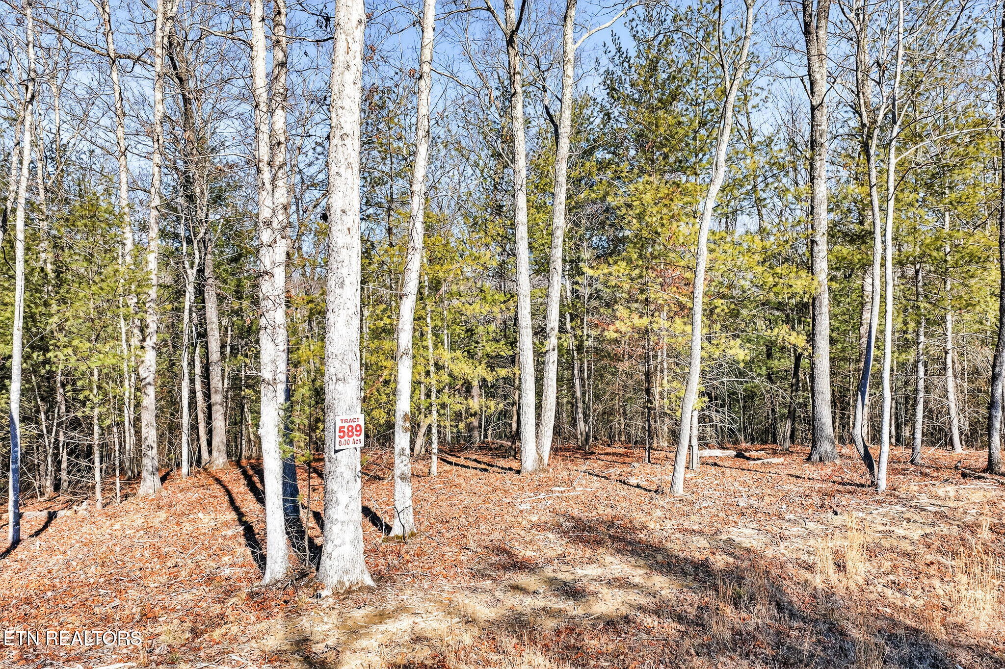 0 Proctor Place Road Road Jamestown, TN 38556 - Photo 7 of 16 6-web-or-mls-Procter Place Rd_030_TNPC