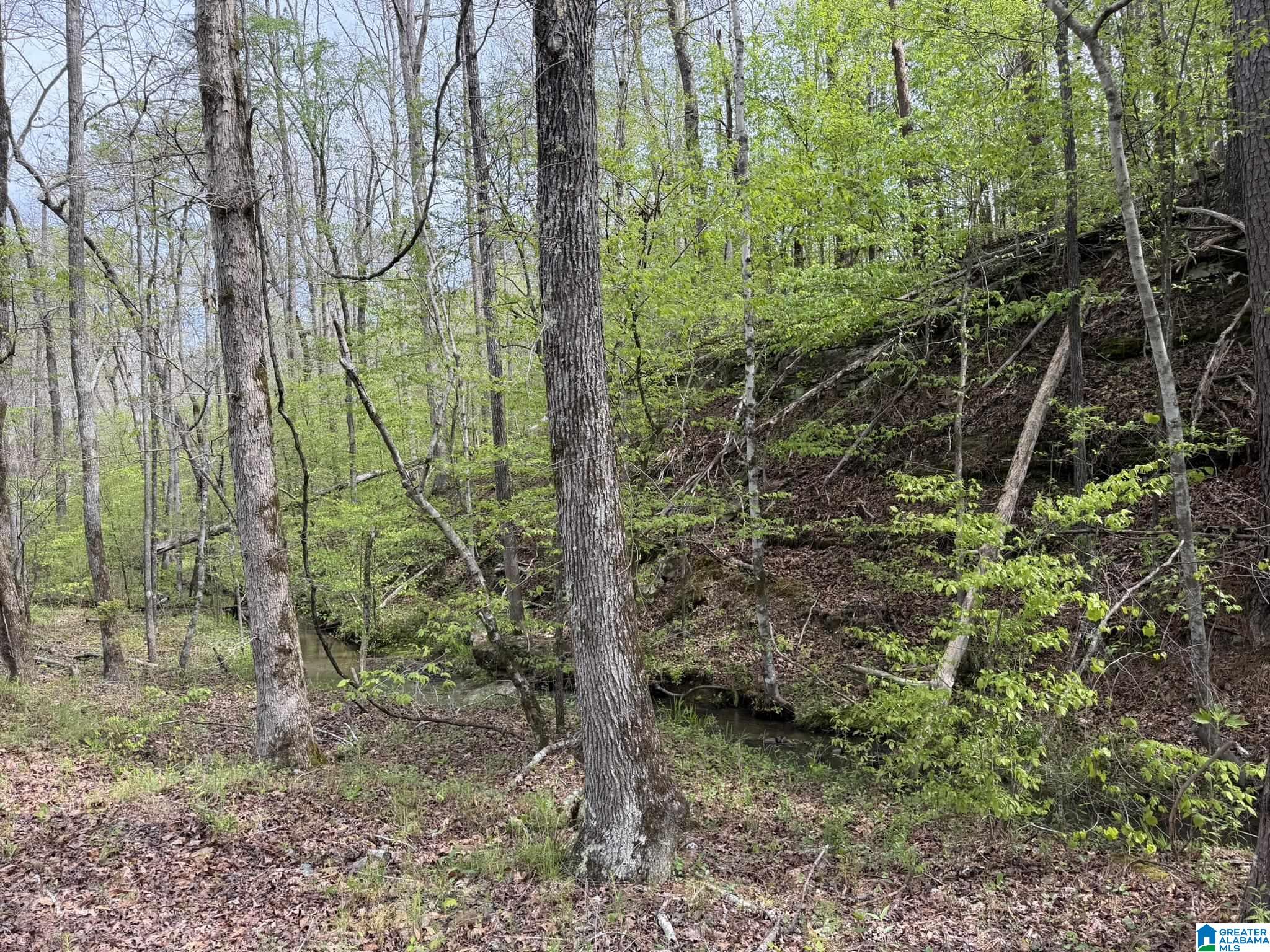 2121 Center Hill Road Trafford, AL 35172 - Photo 82 of 100