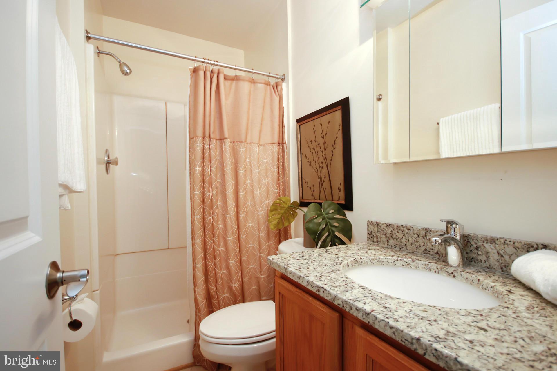 2120 Military Road Arlington, VA 22207 - Photo 19 of 30 Bath (Master)