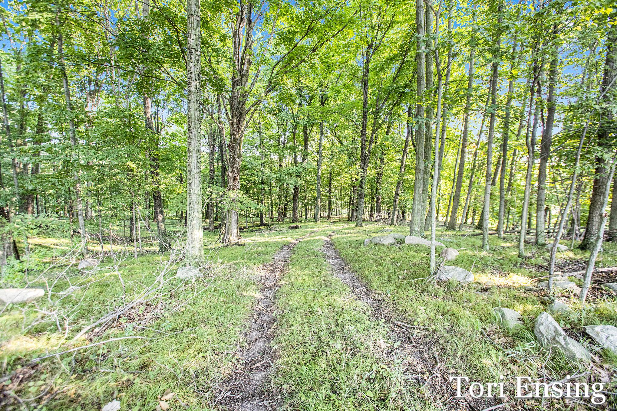 60 North Lake Road Stanton, MI 48888 - Photo 12 of 20 Lake_6