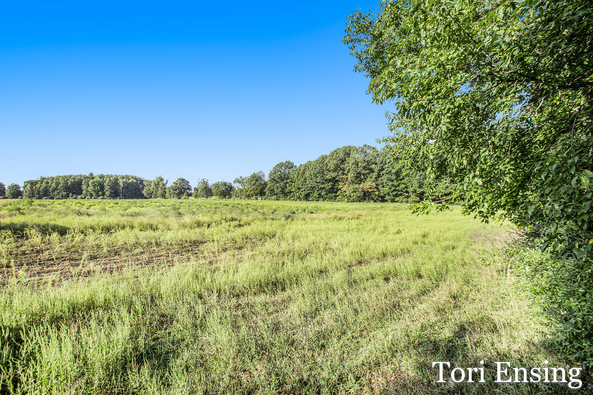 60 North Lake Road Stanton, MI 48888 - Photo 14 of 20 Lake_4