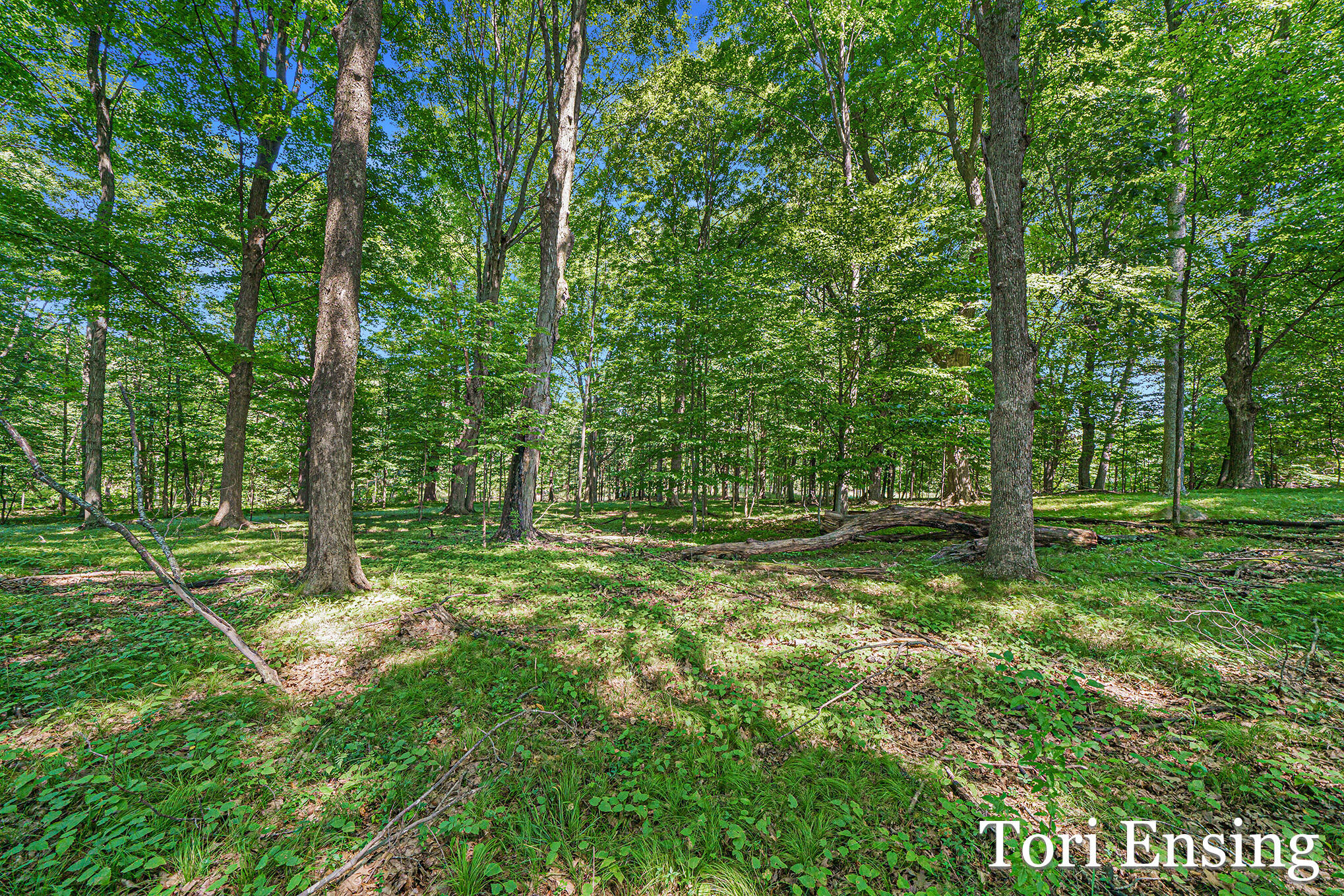 60 North Lake Road Stanton, MI 48888 - Photo 18 of 20 220824_NDP-05162