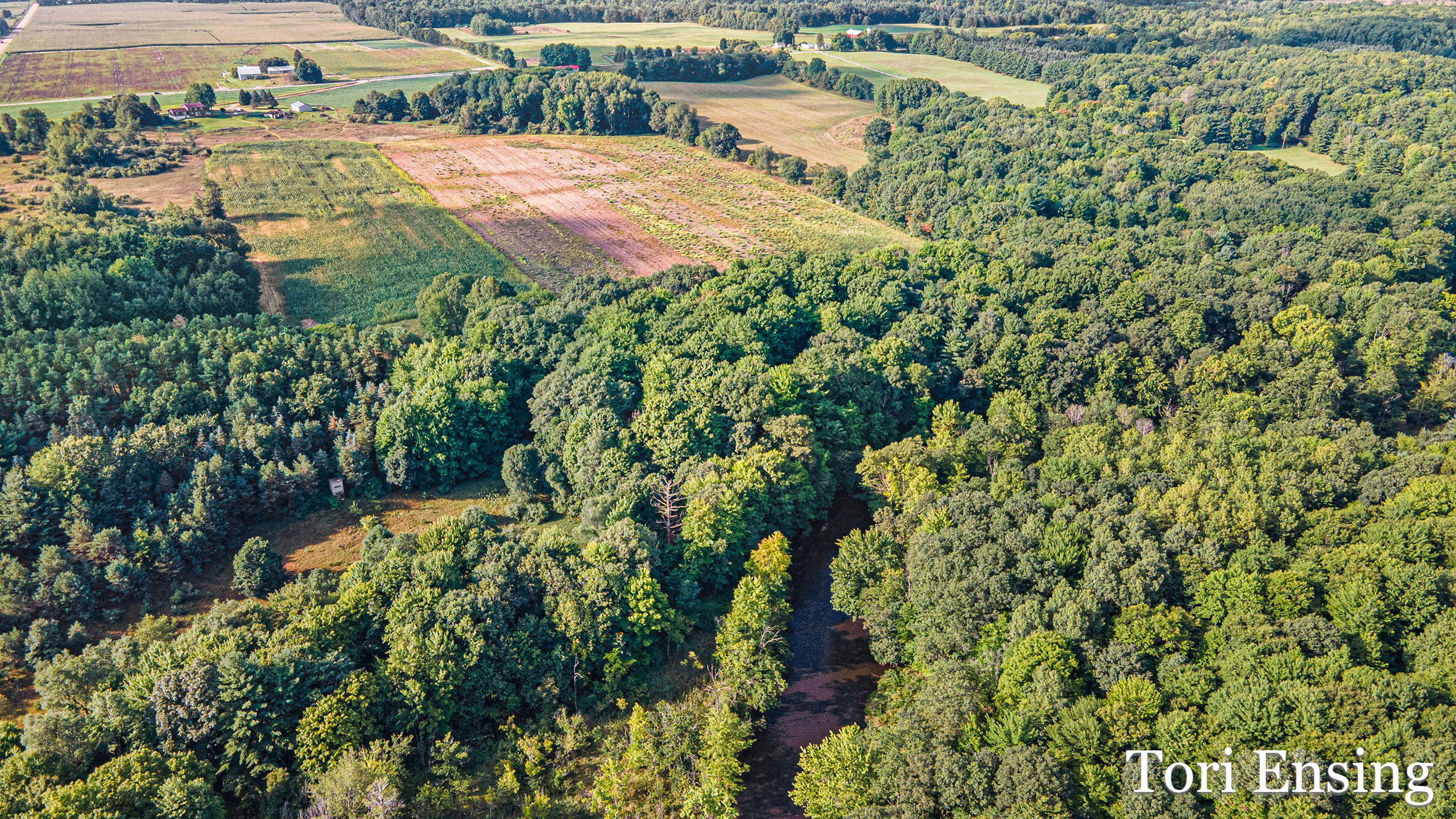60 North Lake Road Stanton, MI 48888 - Photo 4 of 20 DJI_0605