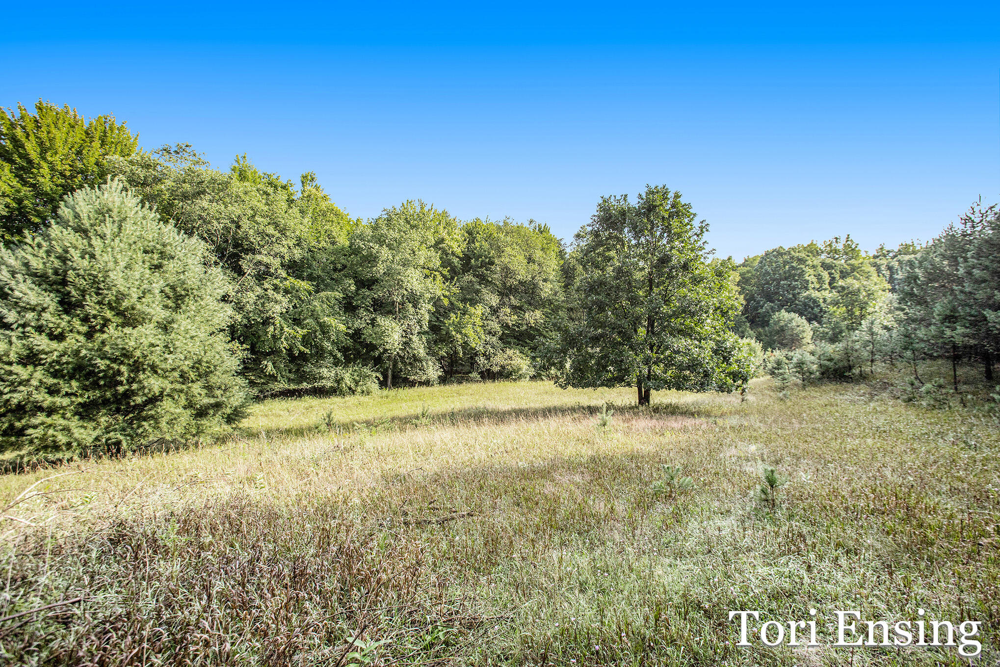 60 North Lake Road Stanton, MI 48888 - Photo 10 of 20 Lake_8