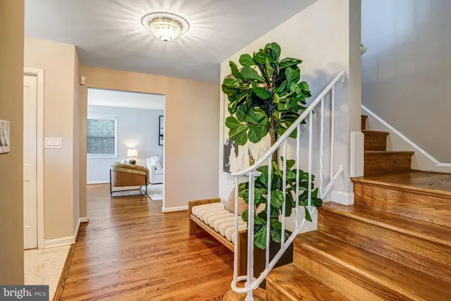a view of a hallway with wooden floor and a potted plant