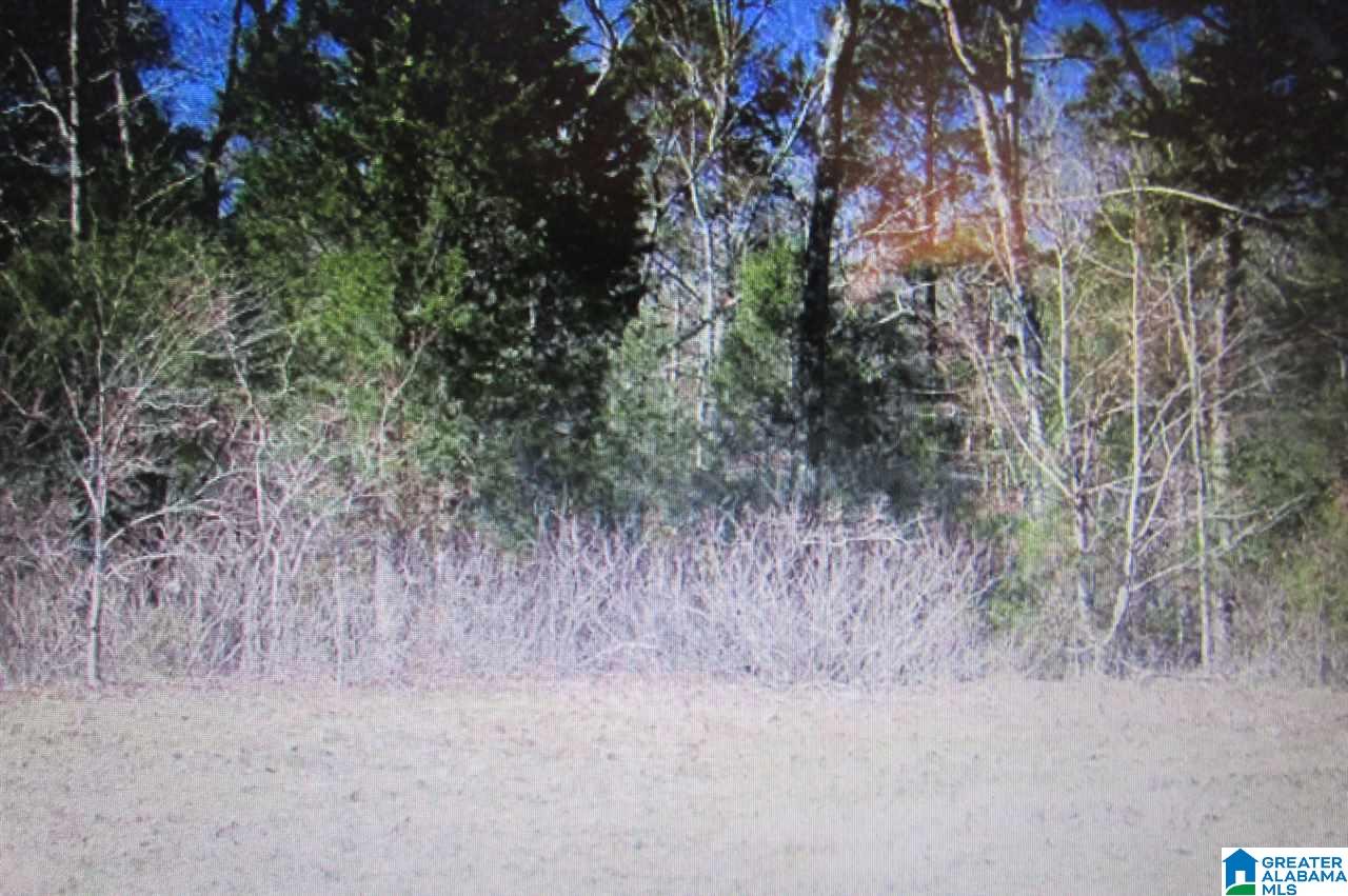 1 Highway 75, Unit 1 Remlap, AL 35133 - Photo 2 of 3