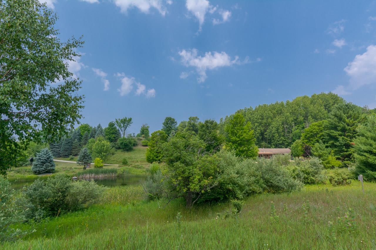 7557 South Schomberg Road Cedar, MI 49621 - Photo 3 of 52