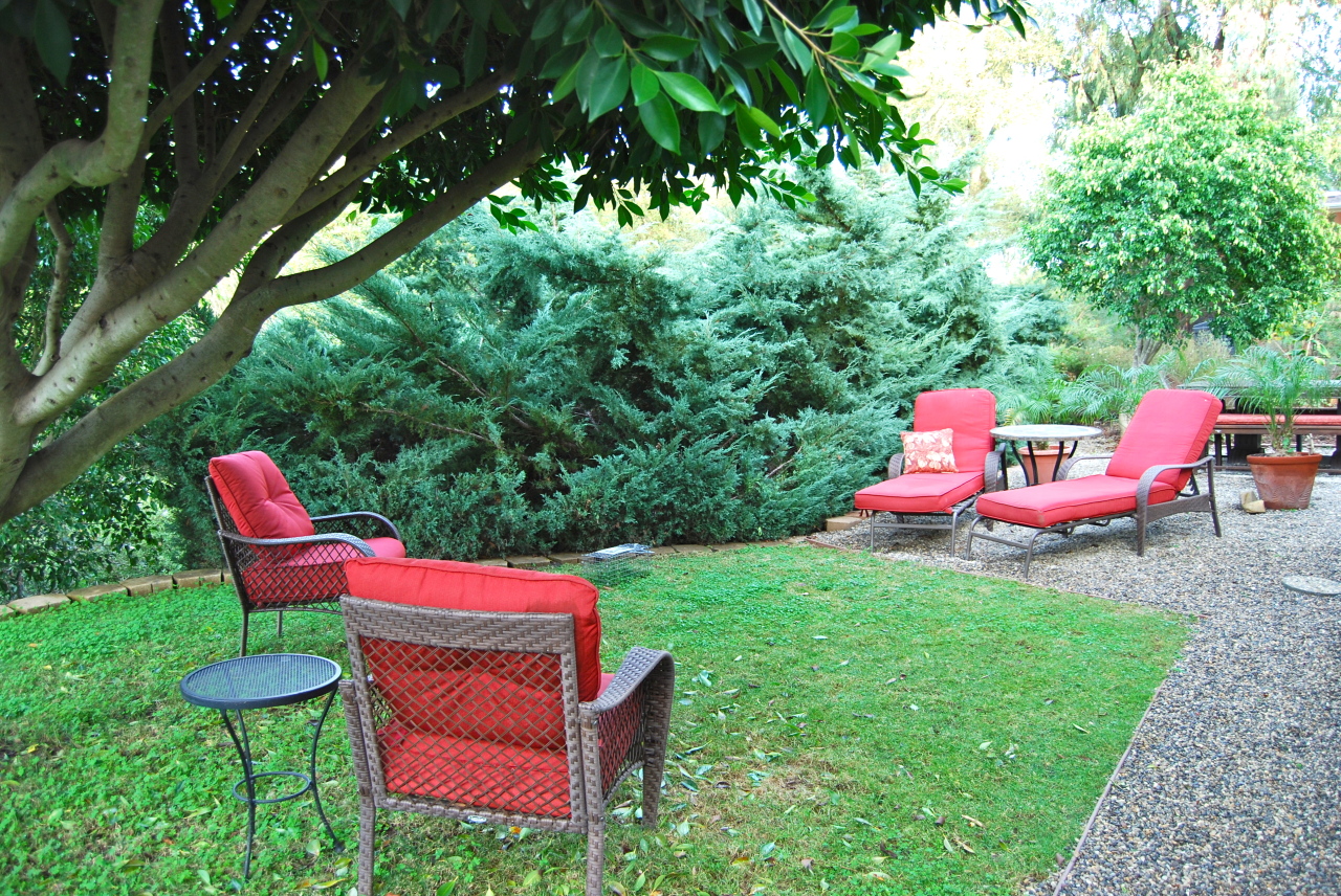 56 Conejo Road Santa Barbara, CA 93103 - Photo 6 of 8 a backyard of a house with seating space