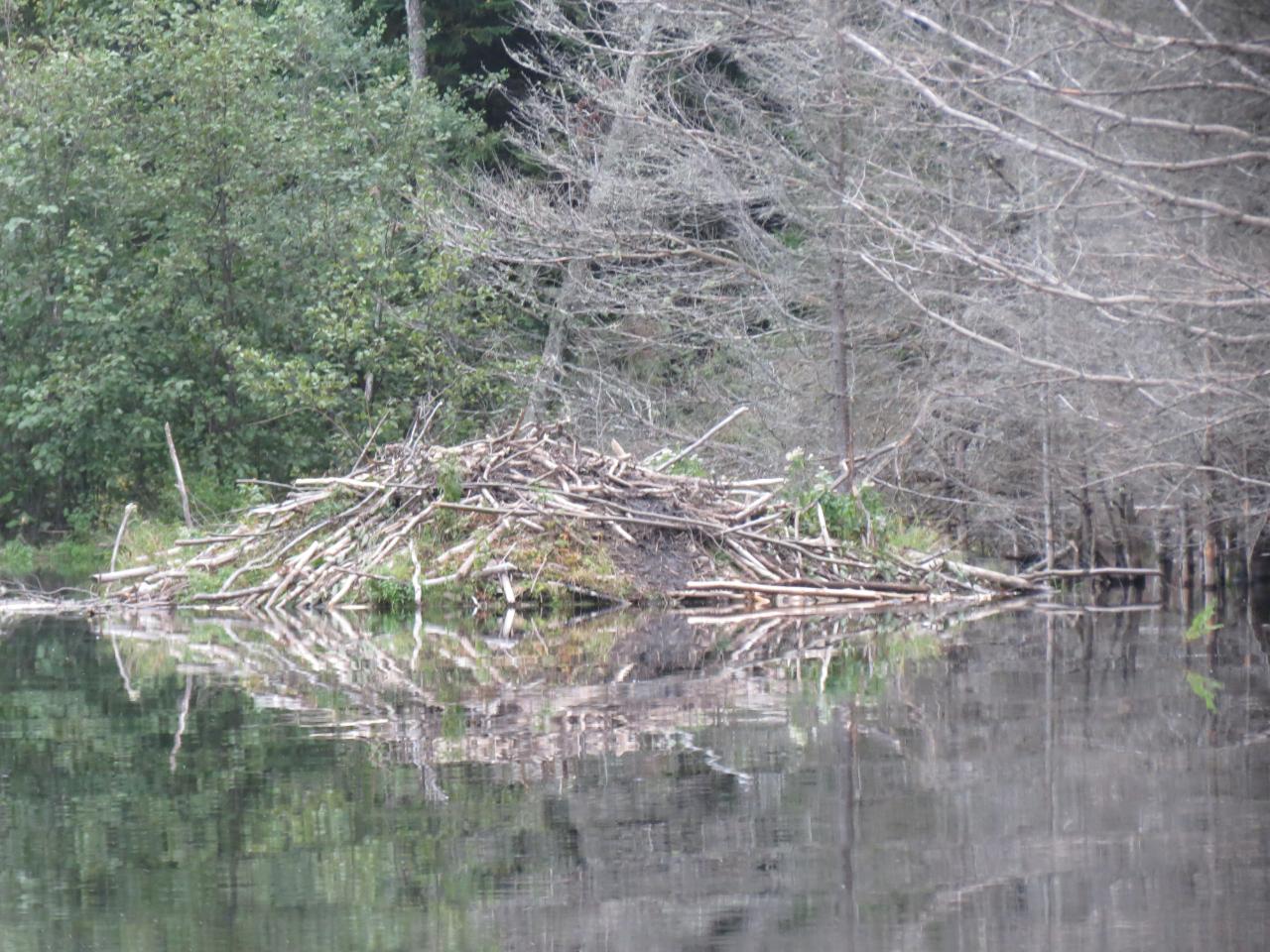 Off Rueckert Road Rhinelander, WI 54501 - Photo 7 of 8 Gallery Image 7
