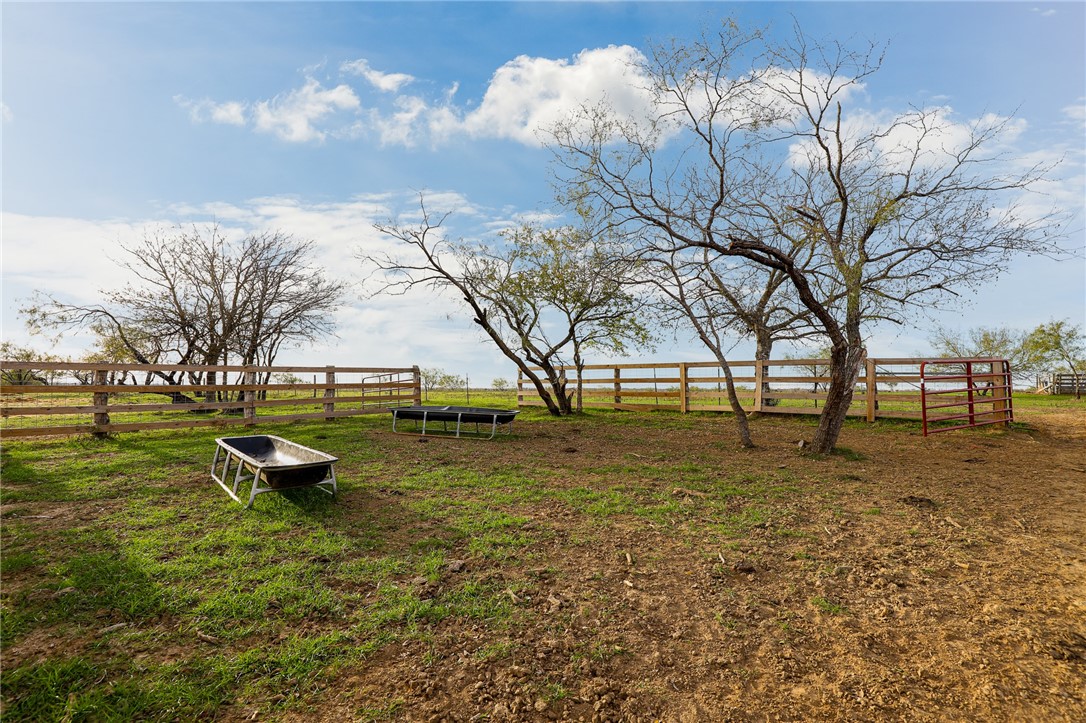 291 Lcr 644 Thornton, TX 76687 - Photo 45 of 51 a view of yard with tree