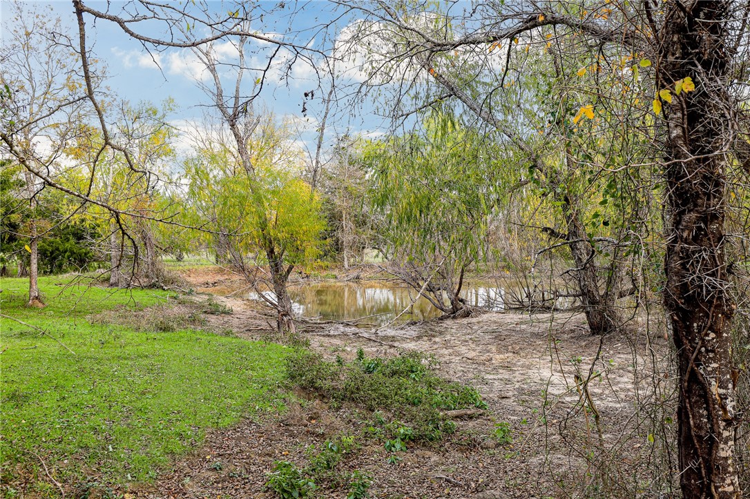291 Lcr 644 Thornton, TX 76687 - Photo 50 of 51 a backyard of a house with lots of green space