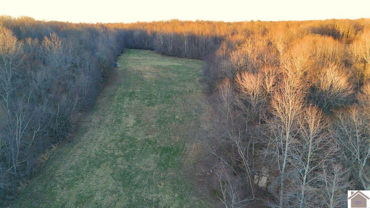0 Wray Road Wingo, KY 42088 - Photo 27 of 39 Photo 27