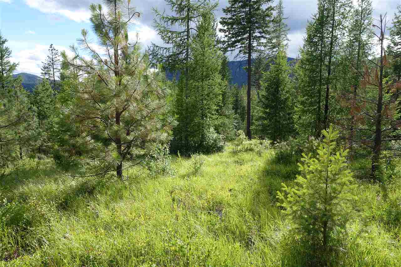 944 J Bentley Road Colville, WA 99114 - Photo 1 of 14