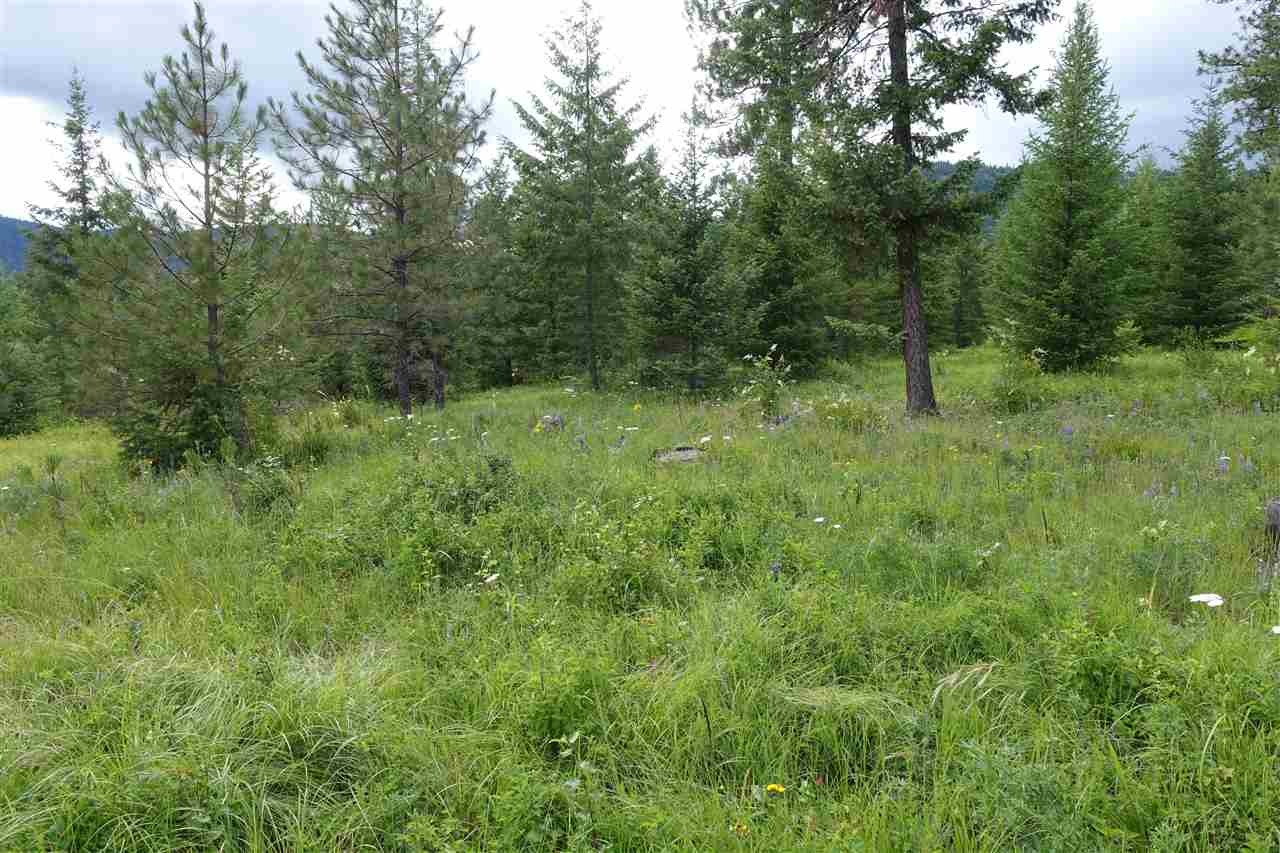 944 J Bentley Road Colville, WA 99114 - Photo 11 of 14