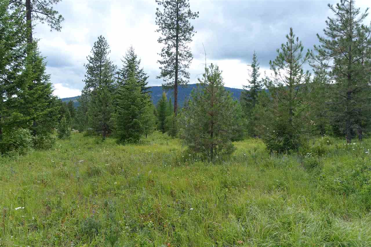 944 J Bentley Road Colville, WA 99114 - Photo 12 of 14