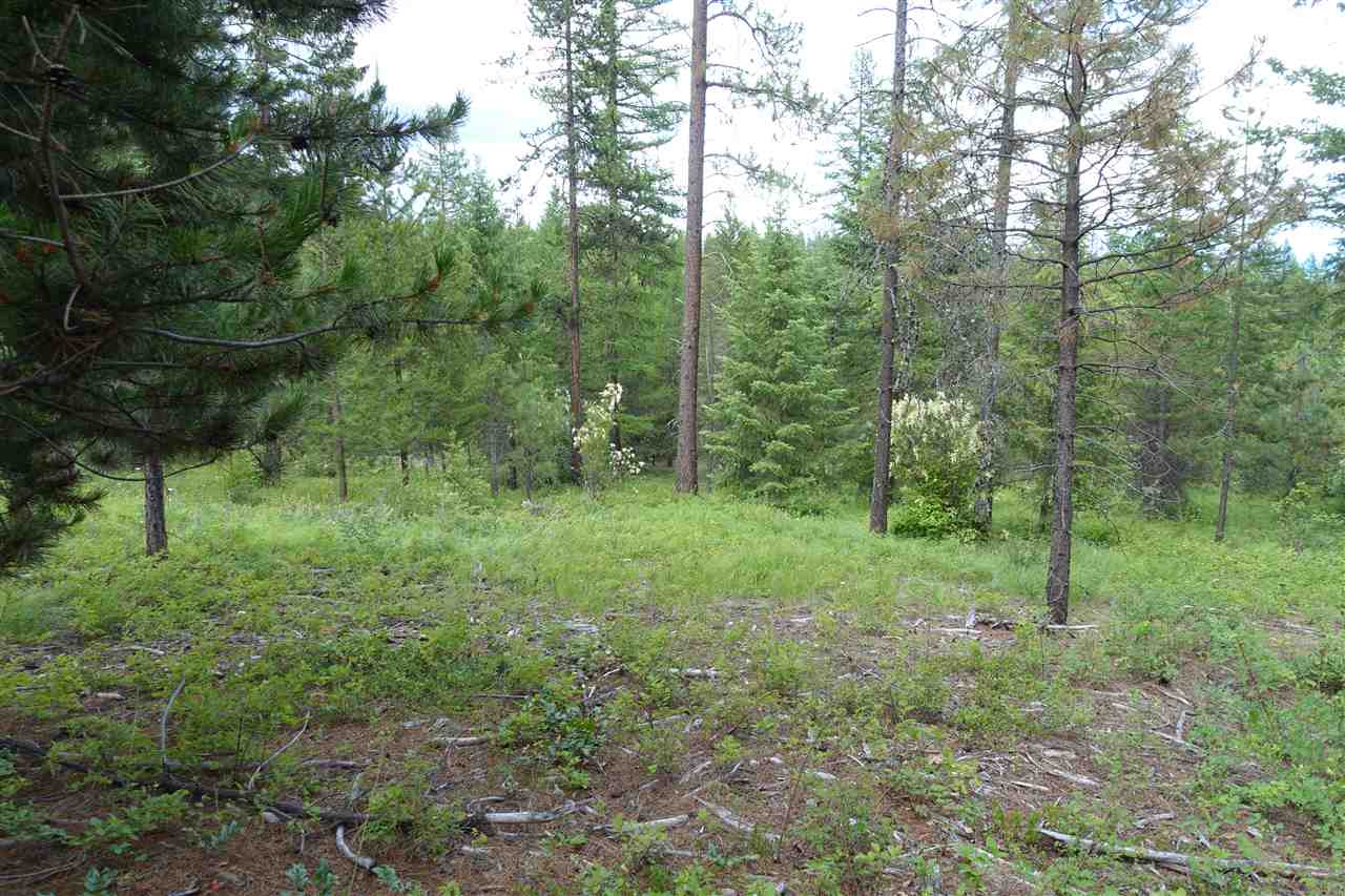 944 J Bentley Road Colville, WA 99114 - Photo 13 of 14