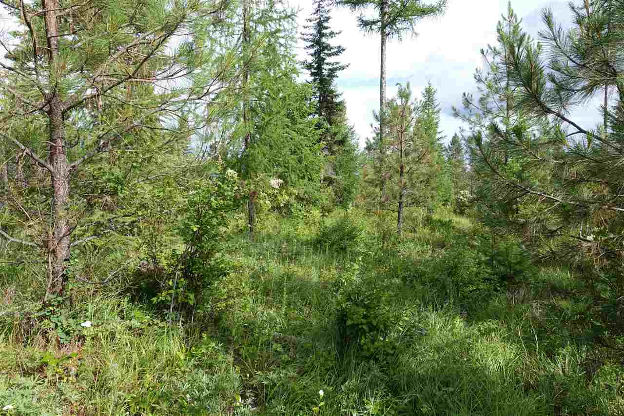 944 J Bentley Road Colville, WA 99114 - Photo 4 of 14
