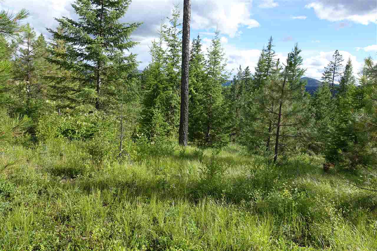 944 J Bentley Road Colville, WA 99114 - Photo 6 of 14