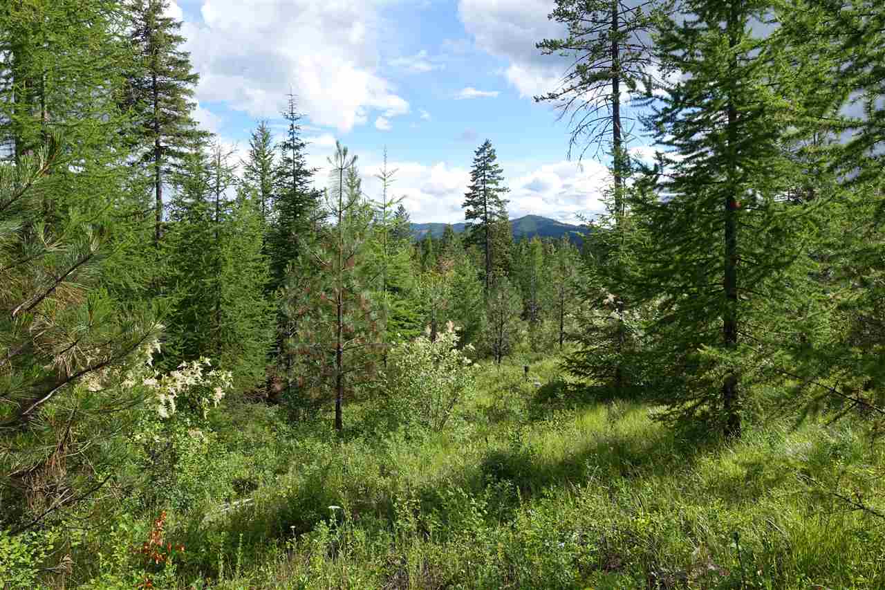 944 J Bentley Road Colville, WA 99114 - Photo 7 of 14