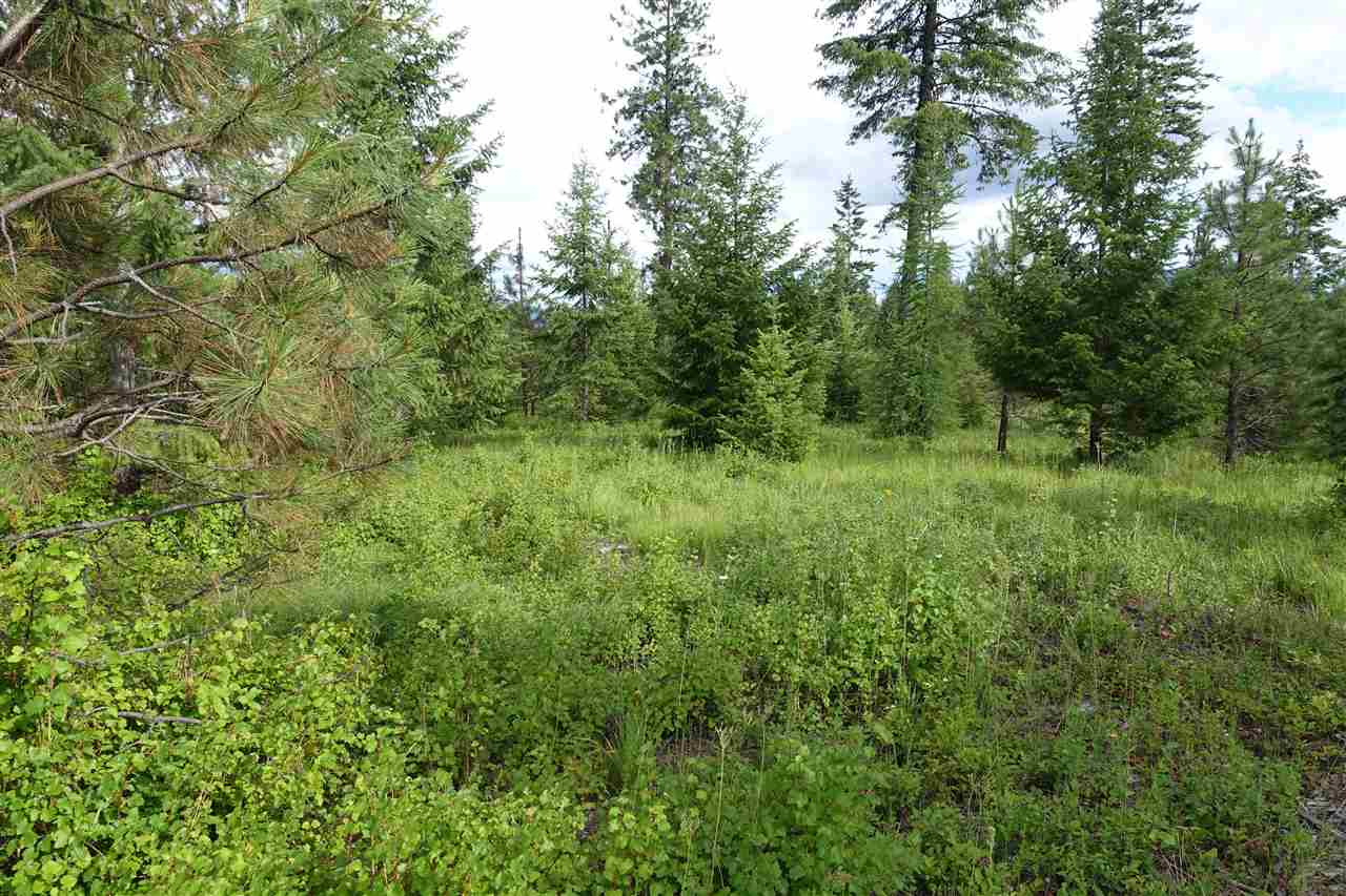944 J Bentley Road Colville, WA 99114 - Photo 10 of 14