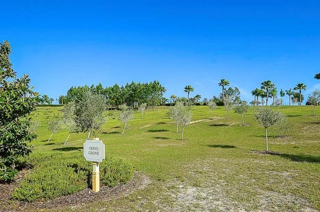 a view of a golf course with chairs