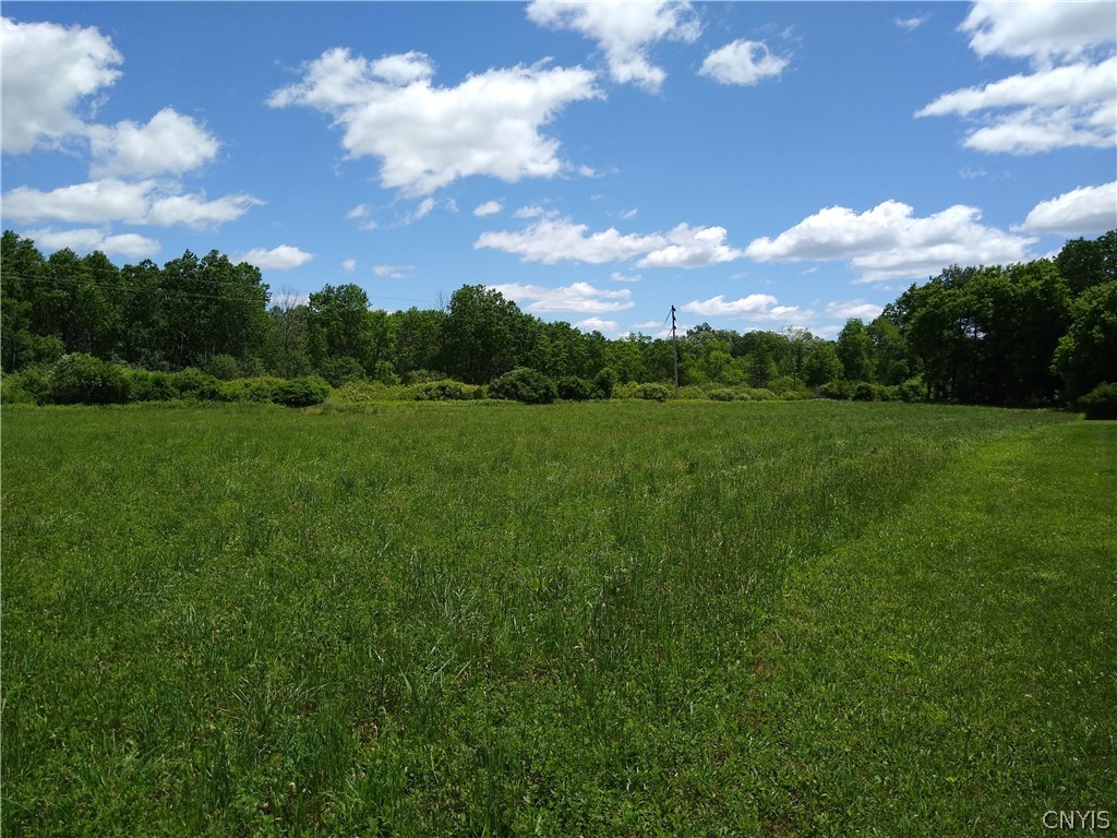 0 Eaton Road Hamilton, NY 13346 - Photo 2 of 4