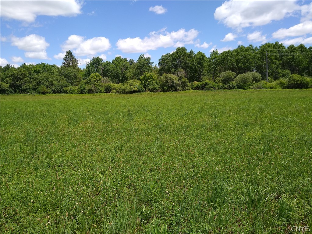 0 Eaton Road Hamilton, NY 13346 - Photo 3 of 4