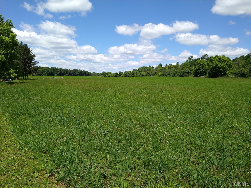 0 Eaton Road Hamilton, NY 13346 - Photo 4 of 4