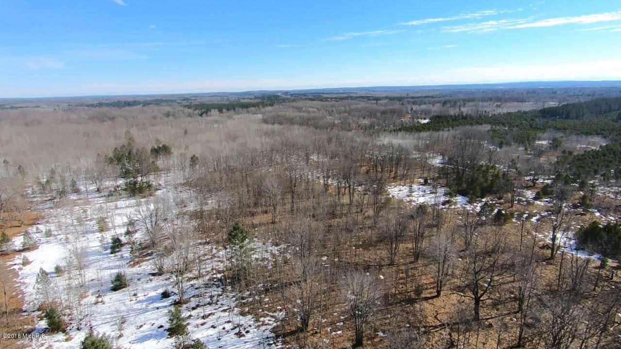 37 1/2 37 1/2 Road Manton, MI 49663 - Photo 20 of 27
