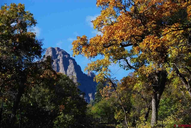 a view of a house with a tree