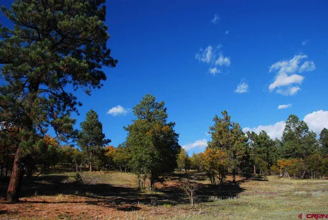a view of a houses with a yard