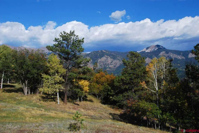 a view of a garden with a house