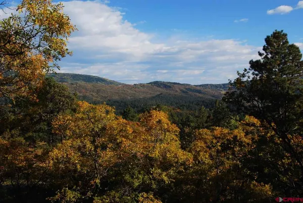 a view of a garden with a lake