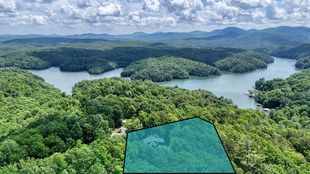 467 Necowa Cove Overlook Blue Ridge, GA 30513 - Photo 3 of 50