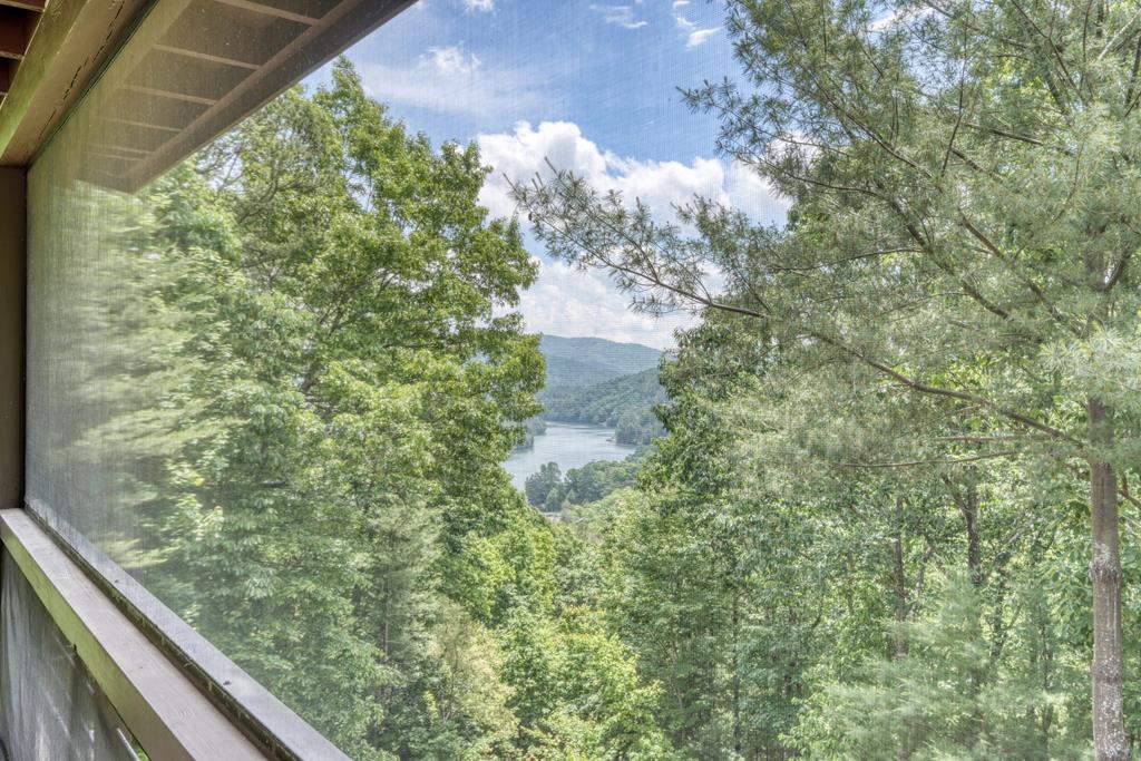 467 Necowa Cove Overlook Blue Ridge, GA 30513 - Photo 34 of 50