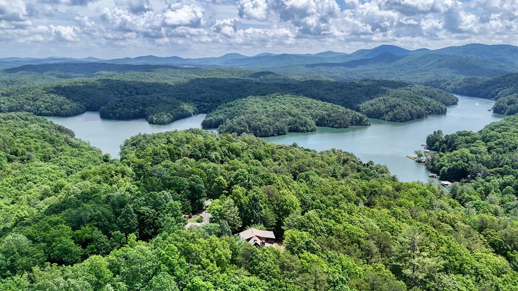 467 Necowa Cove Overlook Blue Ridge, GA 30513 - Photo 51 of 51 Gallery Image 51