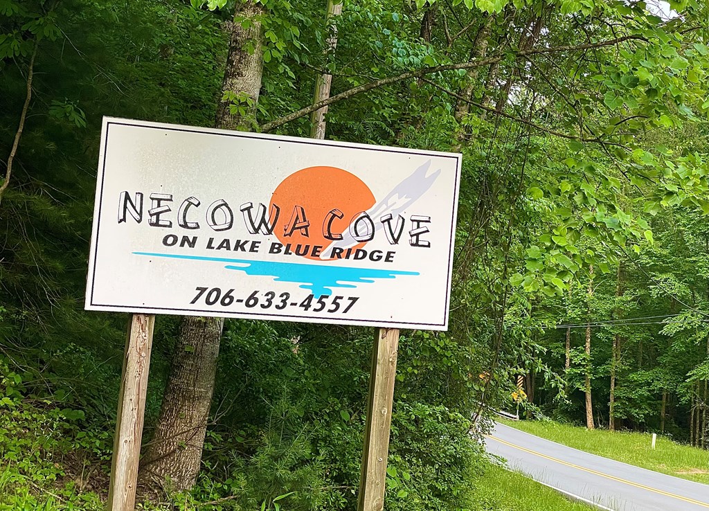 467 Necowa Cove Overlook Blue Ridge, GA 30513 - Photo 10 of 50