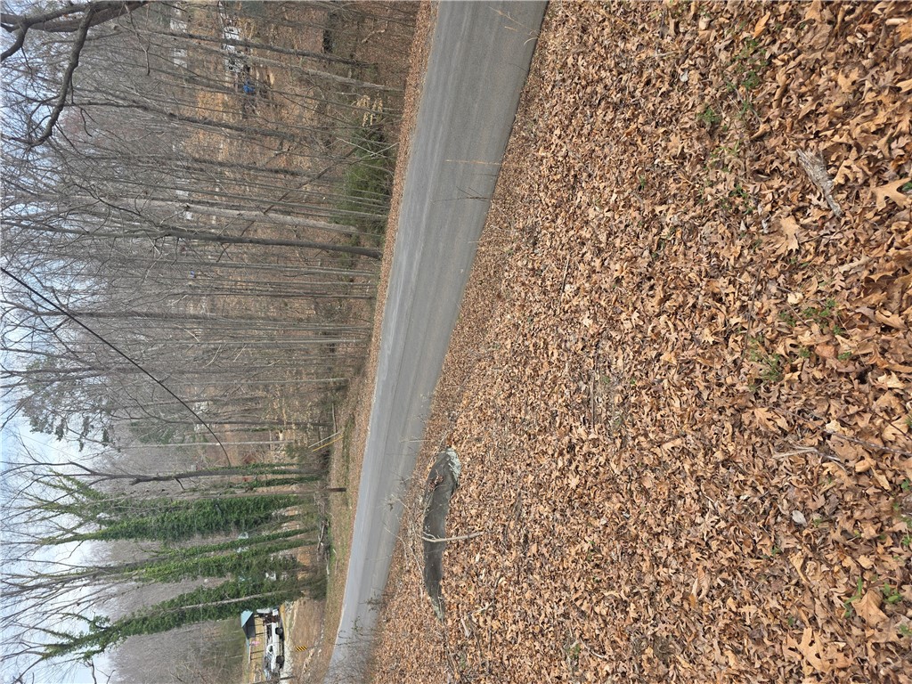 A tranquil path winds through a serene natural setting, perfect for building your dream retreat.