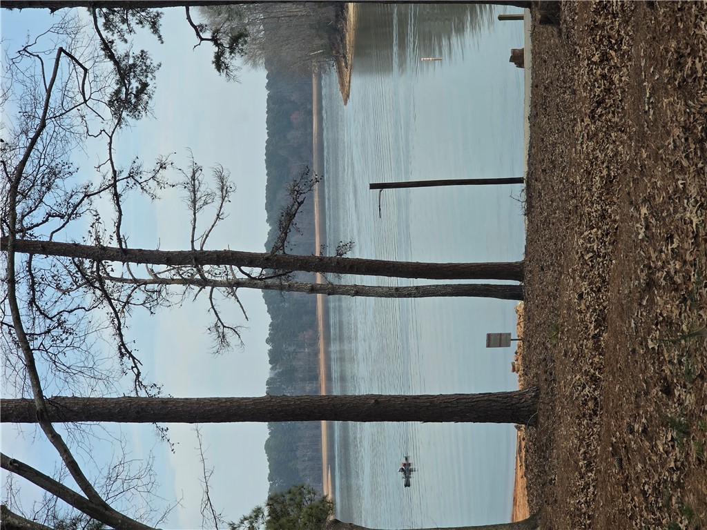 Lot 29-30 Timberlake One Circle Seneca, SC 29678 - Photo 4 of 4 This tranquil waterfront setting offers serene lake views framed by mature trees.