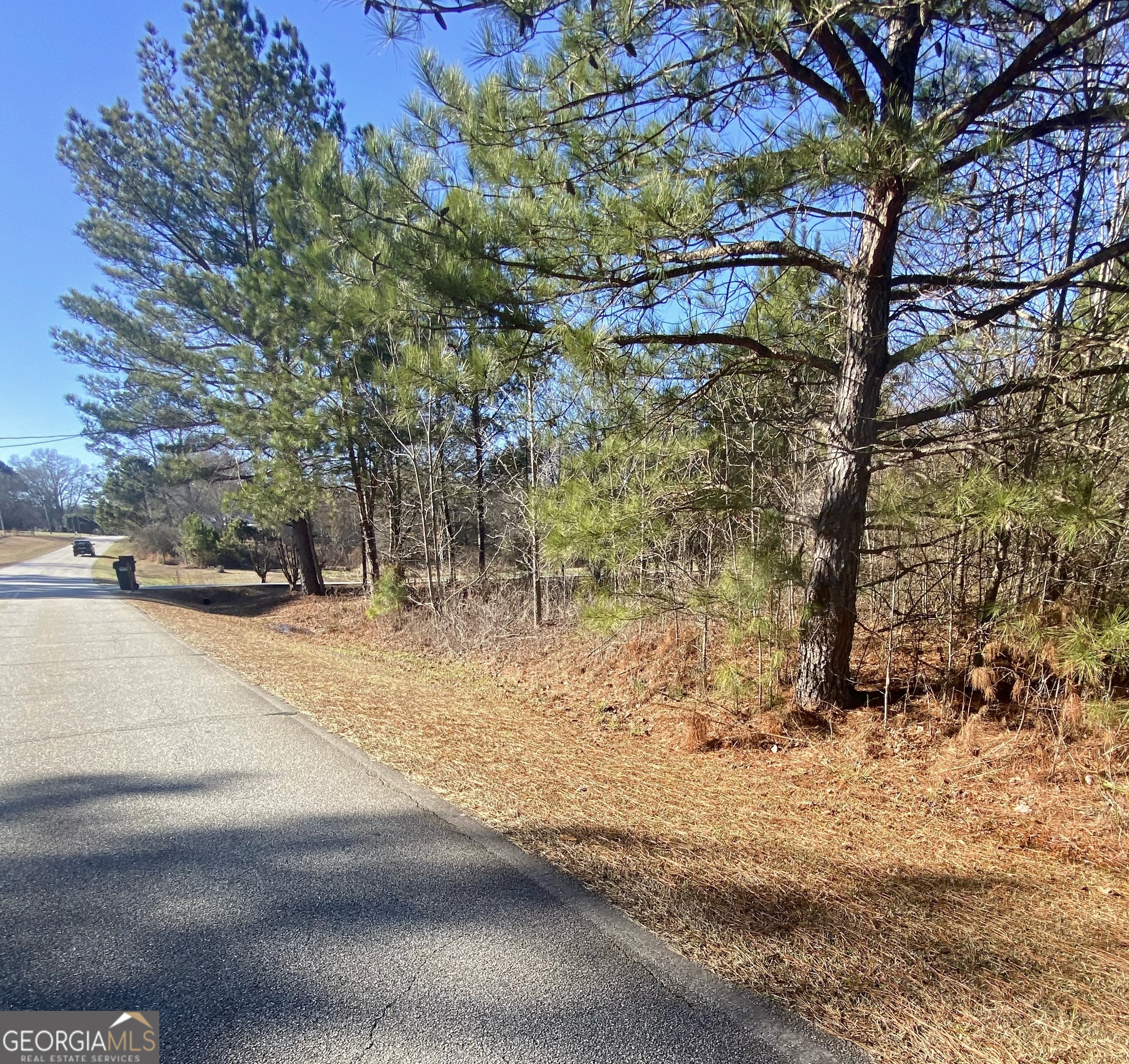 0 Line Creek Road, Unit LOT 2 Senoia, GA 30276 - Photo 1 of 1 Gallery Image 1