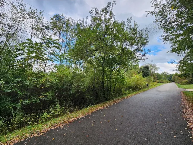 a view of a road with plants and a trees