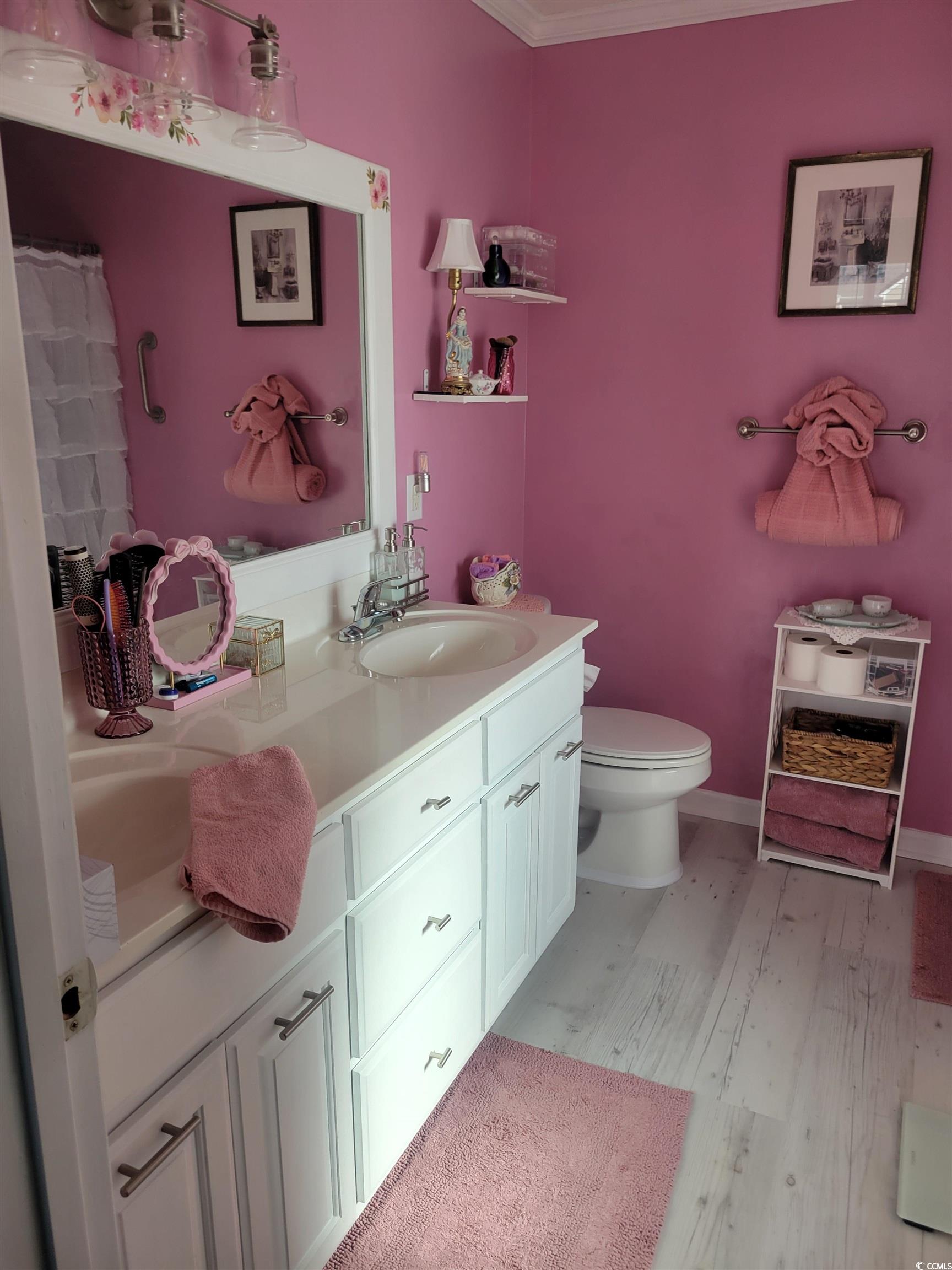 405 Beulah Circle Conway, SC 29527 - Photo 14 of 28 Bathroom with double vanity and light wood-style floors