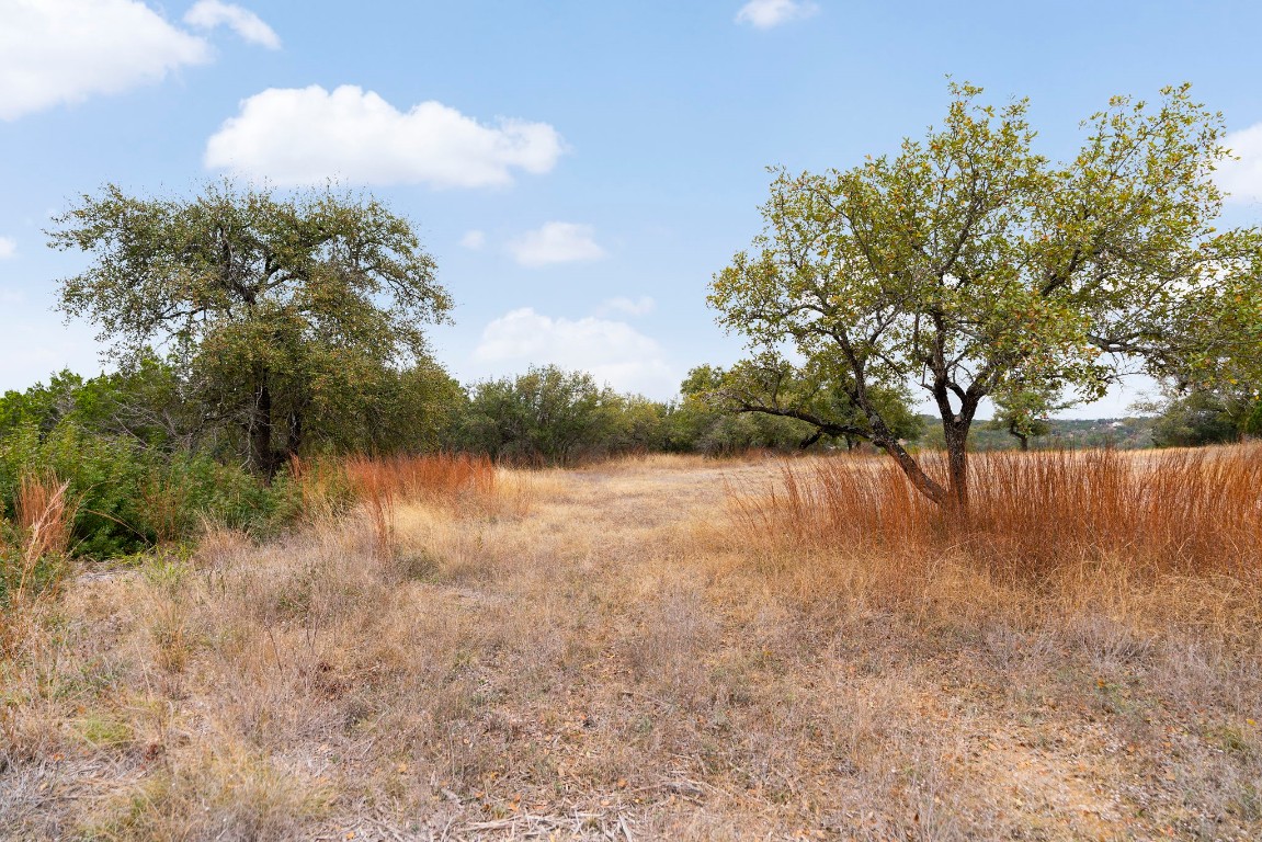 21406 Kathy Lane Spicewood, TX 78669 - Photo 35 of 40 a backyard of a house with lots of green space