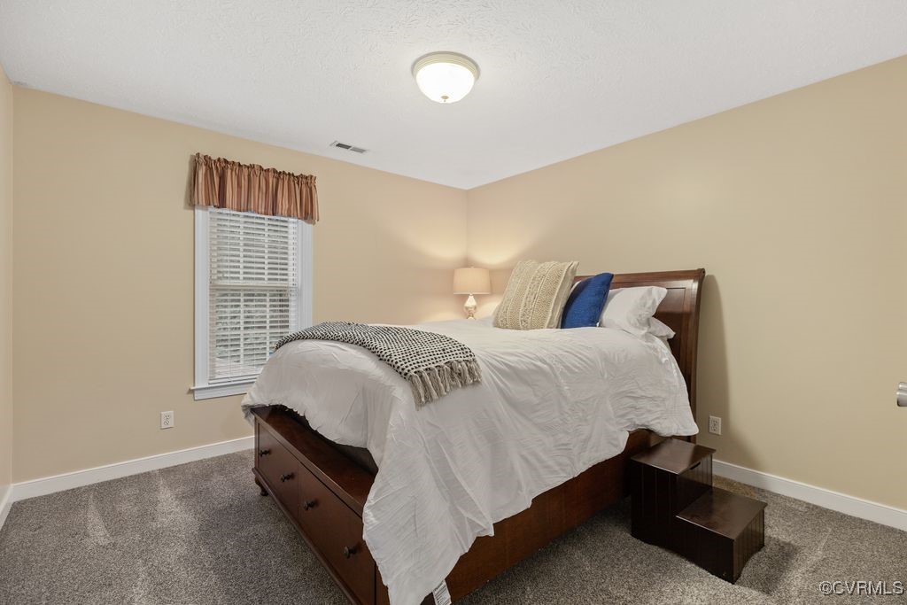 3105 Mill Trace Lane Sandy Hook, VA 23153 - Photo 30 of 43