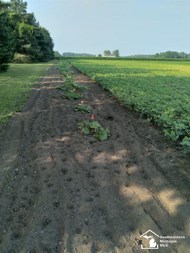 0 Blazer Road Maybee, MI 48159 - Photo 9 of 29