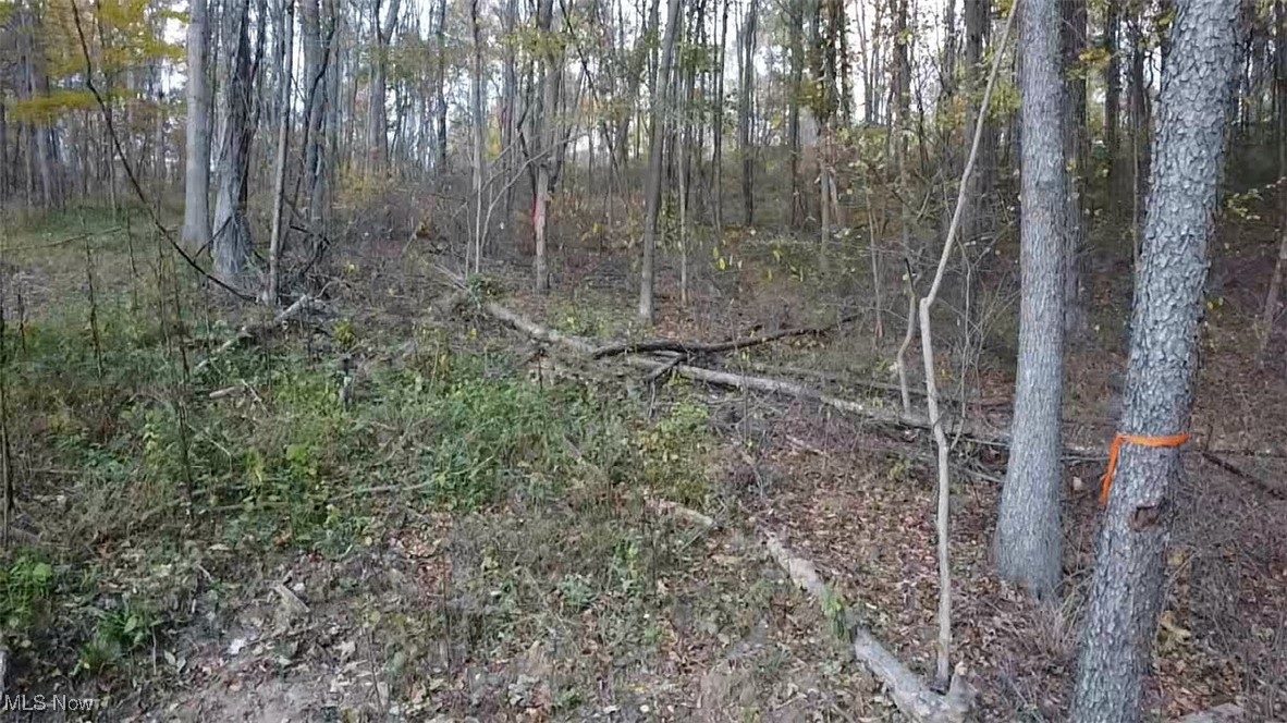 4277 Twin Sisters Road Cambridge, OH 43725 - Photo 10 of 27 approximate marker for the 5.13 acres