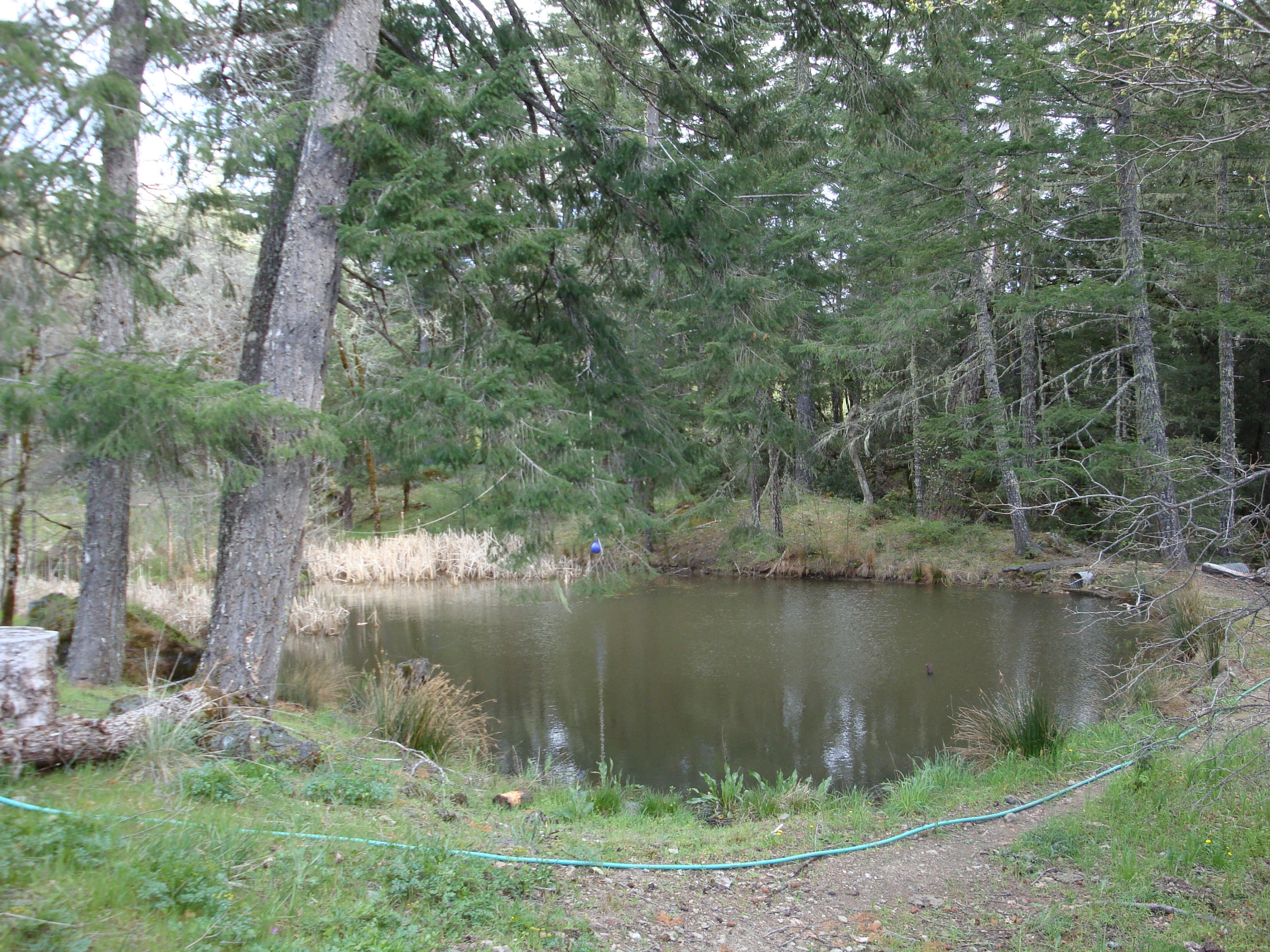 0 Buck Mountain Road Bridgeville, CA 95526 - Photo 28 of 33