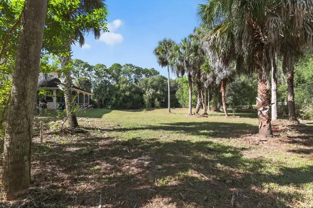 a view of yard with trees