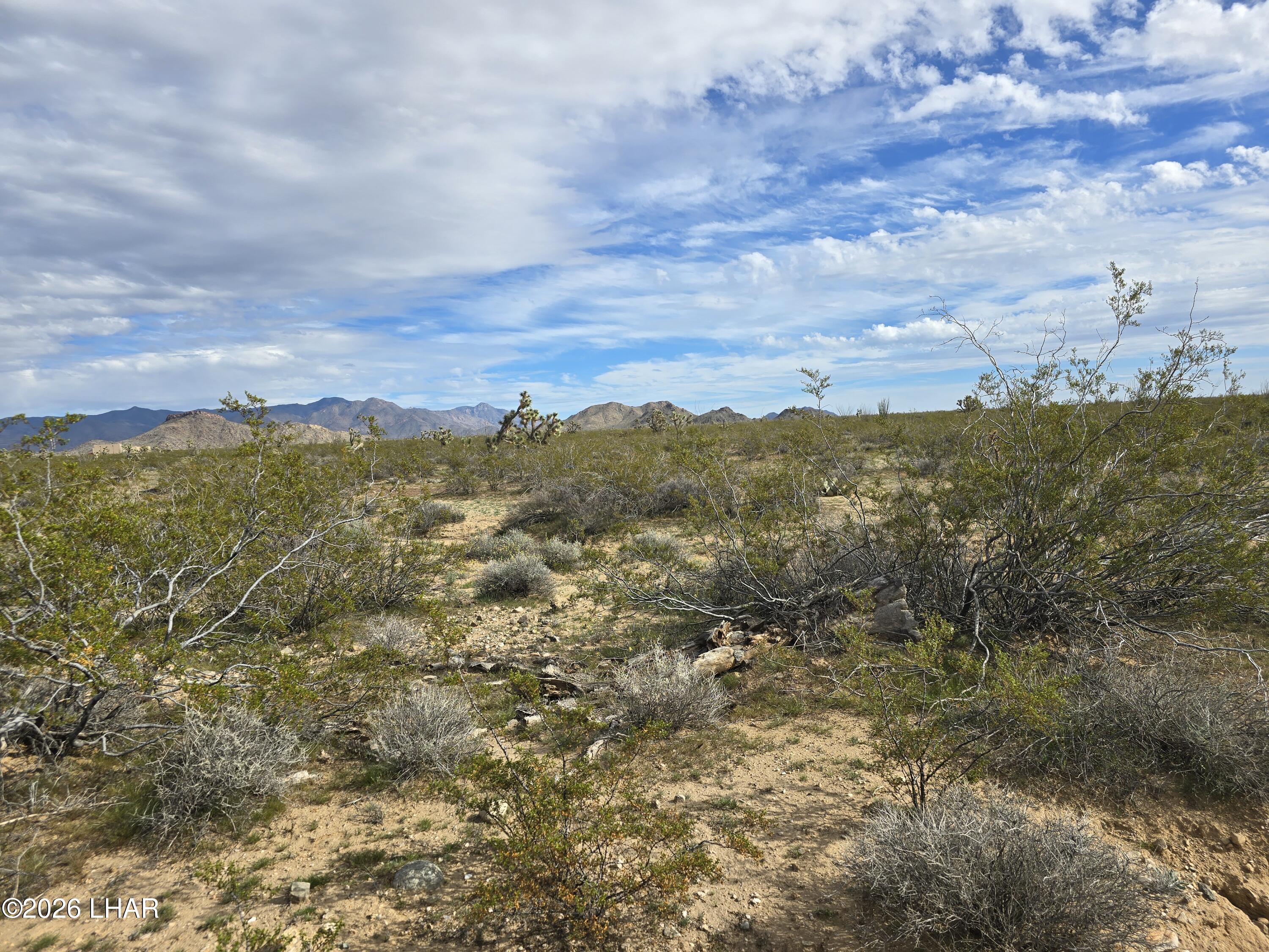 Tbd South Wild Bill Road Yucca, AZ 86438 - Photo 3 of 14
