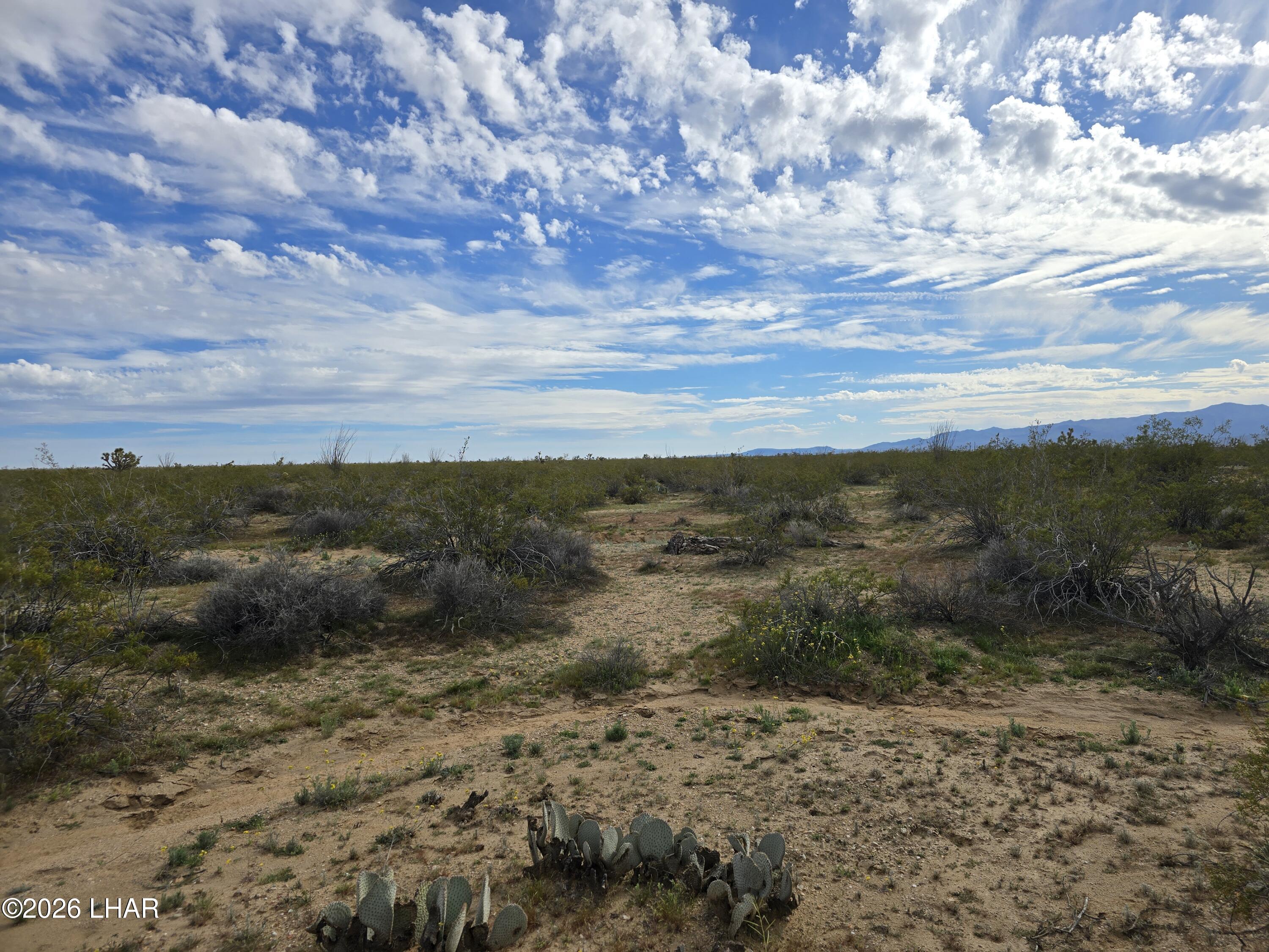 Tbd South Wild Bill Road Yucca, AZ 86438 - Photo 5 of 14